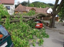 Kwikfynd Tree Cutting Services
gascoynejunction